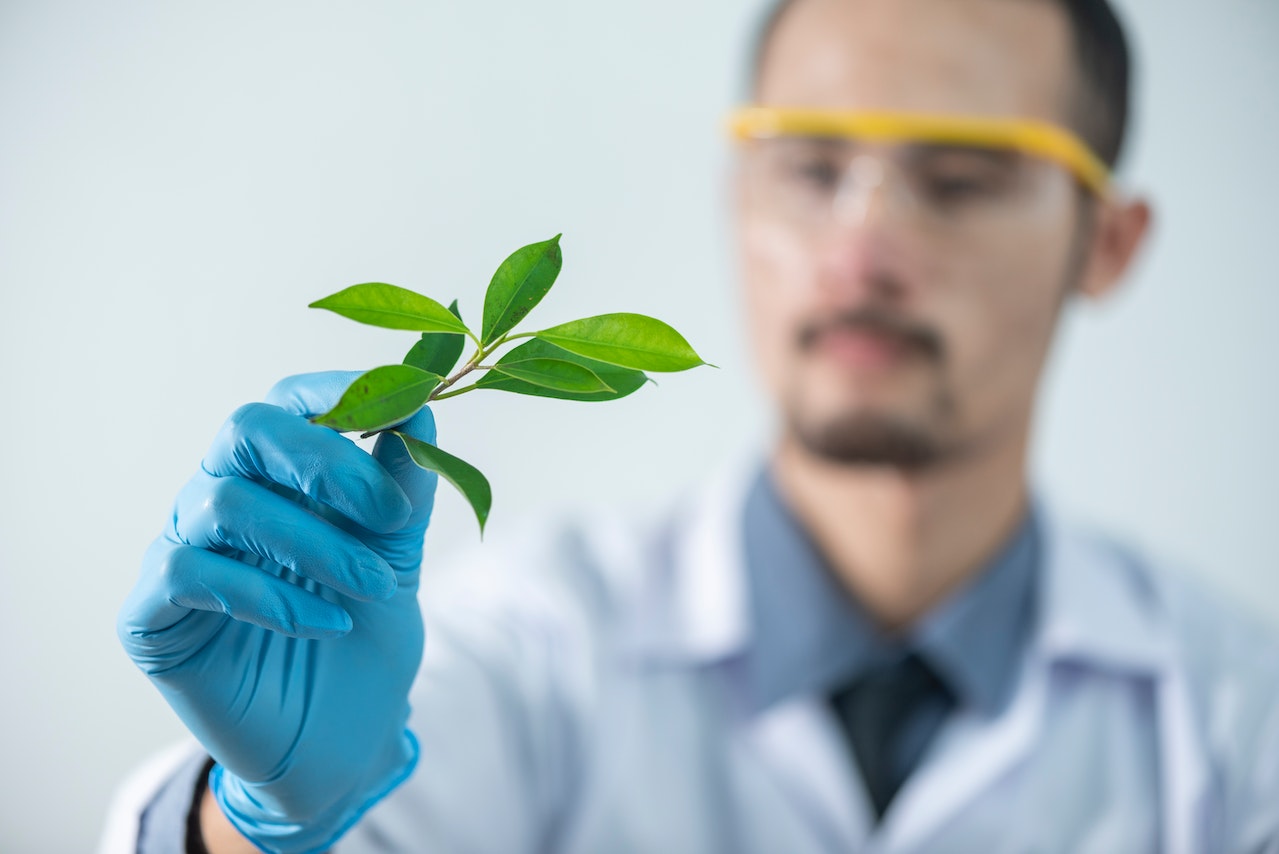 image of a scientist holding up a twig of leaves where the scientist is blurred out highlighting the green leaf