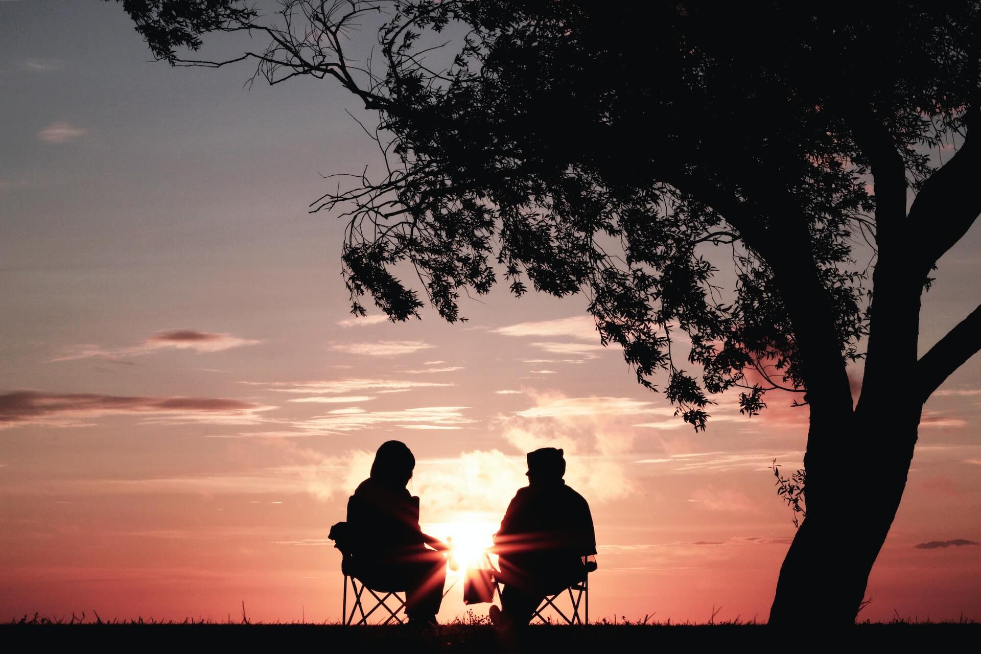 Image of two people sitting under a tree watching the sun set